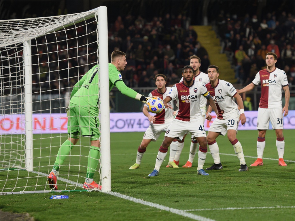 这片土地上 这片土地上